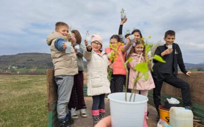 Volonterska aktivnost- sadnja sadnica murvi